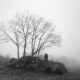 love is forever engagement session fog rural countryside silver golden diamond wedding destination chaves winter
