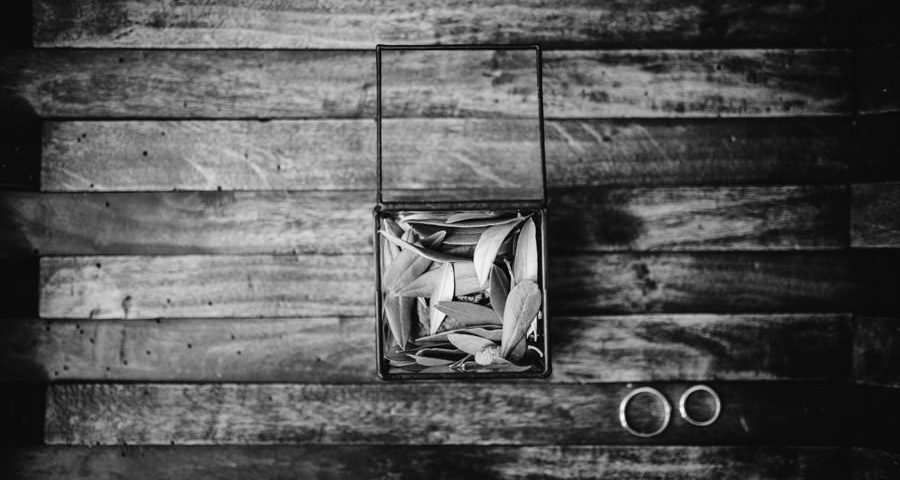 wedding quinta santana mafra lisbon rural vineyards countryside photojournalism awarded destination photographer