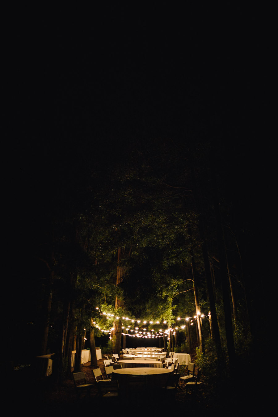 casamento no quintal bosque floresta natureza ar livre fotojornalismo santo tirso fotografia informal